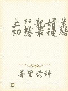 上门龙婿叶辰萧初然最后结局