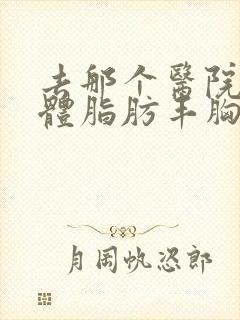 去那个医院做自体脂肪丰胸好