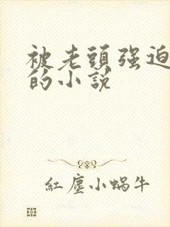 被老头强迫玩弄的小说