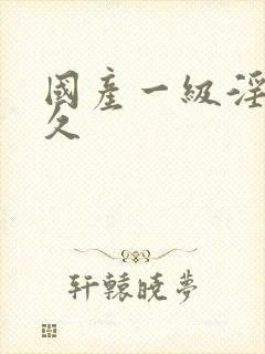 国产一级淫片久久