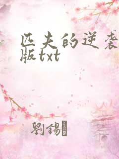 匹夫的逆袭精校版txt