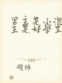 男主是小混混女主是好学生的小说