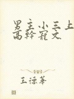男主小三上位的高干宠文