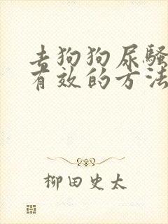 去狗狗尿骚味最有效的方法