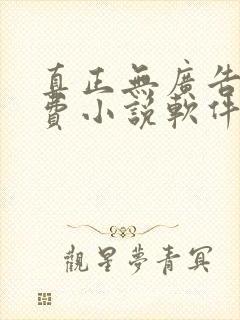 真正无广告的免费小说软件