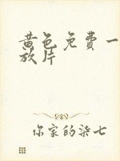 黄色免费一级播放片