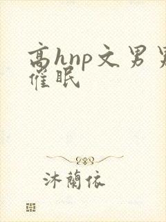 高hnp文男男催眠