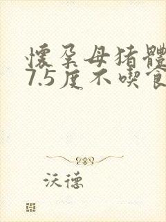 怀孕母猪体温37.5度不吃食怎么办