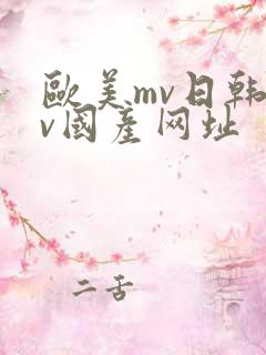 欧美mv日韩mv国产网址