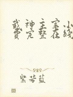 武神主宰小说免费完整在线阅读