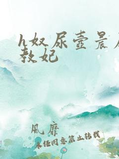 h奴尿壶晨尿调教妃