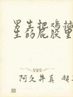 男生把鸡插进男生的屁股里