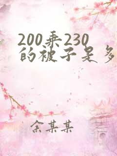 200乘230的被子是多大的