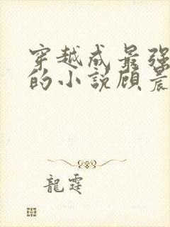 穿越成最强律师的小说顾晨