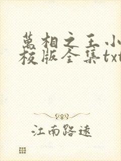 万相之王小说精校版全集txt