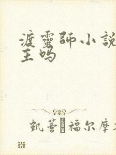 渡灵师小说有女主吗