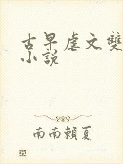 古早虐文双男主小说