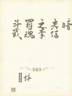 斗罗之光暗双生武魂李信