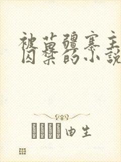 被苗疆寨主抓住囚禁的小说双男主