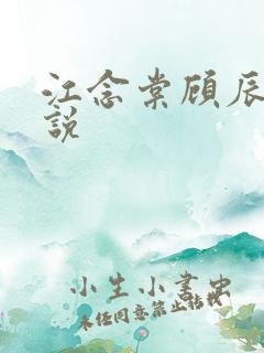 江念棠顾辰聿小说