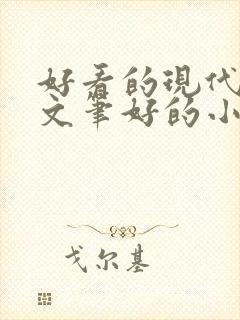 好看的现代言情文笔好的小说