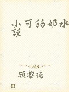 小可的奶水 小说