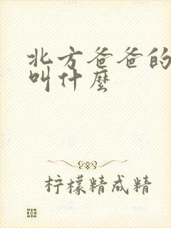 北方爸爸的姥姥叫什么