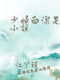 少妇白洁是哪本小说