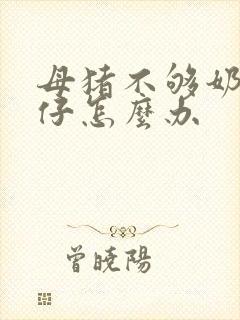 母猪不够奶喂猪仔怎么办