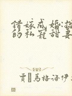 错嫁成婚:总裁的私宠甜妻 风亭