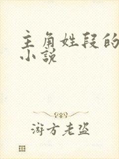 主角姓段的全部小说