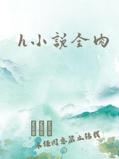 h小说全肉