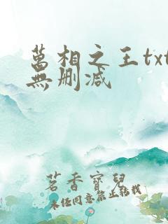 万相之王txt无删减