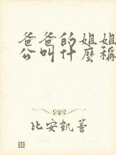 爸爸的姐姐的老公叫什么称呼