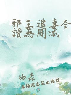 邪王追妻全文阅读无删减