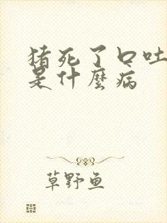 猪死了口吐白沫是什么病