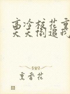 高冷校花重生后天天倒追我