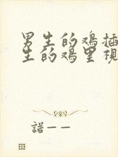 男生的鸡插进女生的鸡里视频