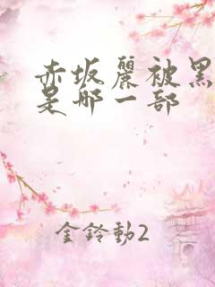 赤坂丽被黑人做是哪一部