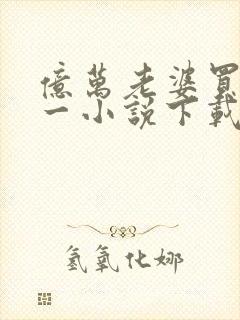 亿万老婆买一送一小说下载txt