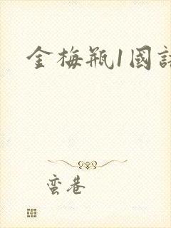 金梅瓶1国语版