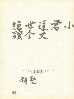 绝世道君小说阅读全文