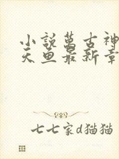 小说万古神帝飞天鱼最新章节目录