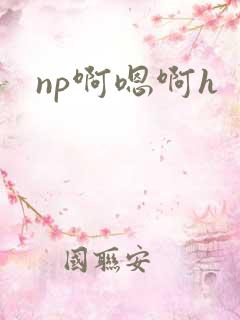 np啊嗯啊h
