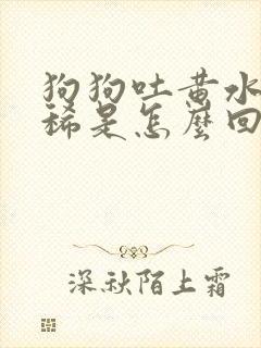 狗狗吐黄水又拉稀是怎么回事