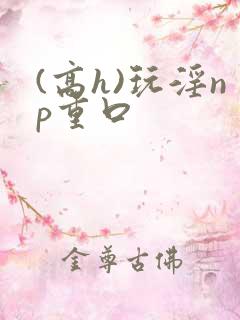 (高h)玩淫np重口