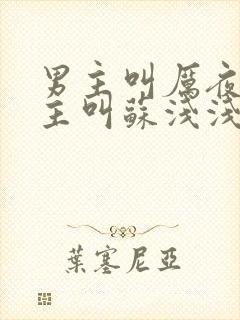 男主叫厉夜霆女主叫苏浅浅的小说