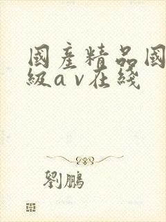 国产精品国产三级a v在线