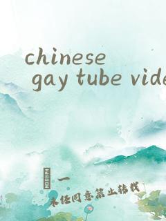 chinese gay tube videos