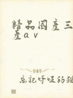 精品国产三级国产aⅴ